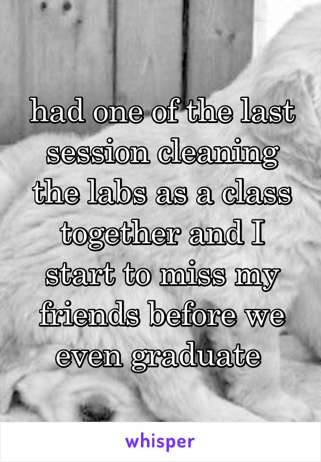 had one of the last session cleaning the labs as a class together and I start to miss my friends before we even graduate 