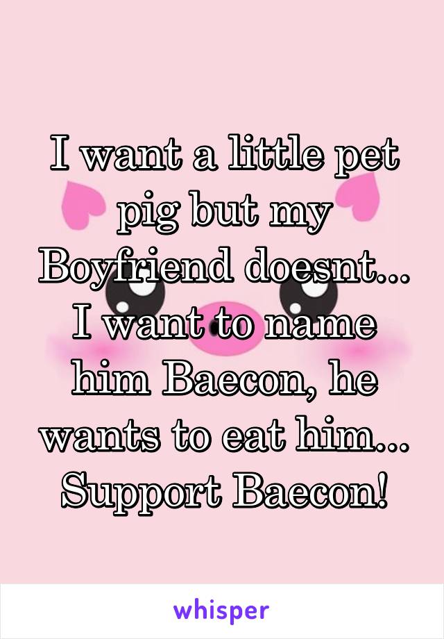 I want a little pet pig but my Boyfriend doesnt... I want to name him Baecon, he wants to eat him...
Support Baecon!