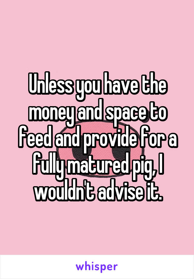 Unless you have the money and space to feed and provide for a fully matured pig, I wouldn't advise it.