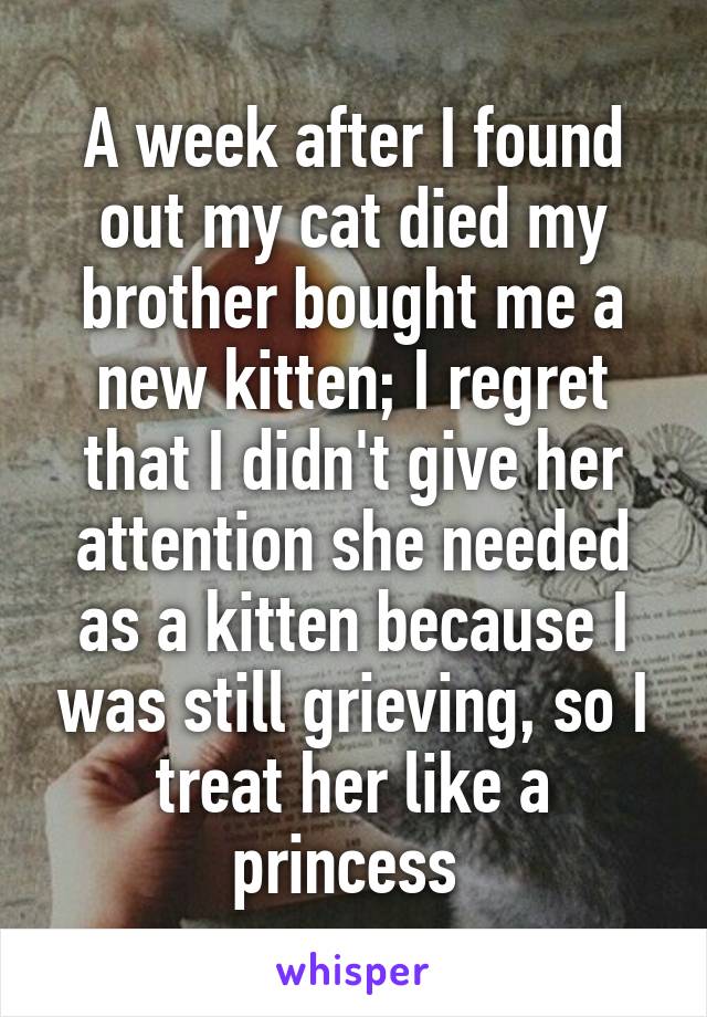 A week after I found out my cat died my brother bought me a new kitten; I regret that I didn't give her attention she needed as a kitten because I was still grieving, so I treat her like a princess 