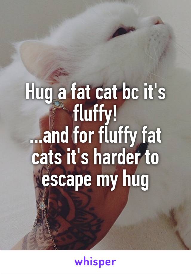 Hug a fat cat bc it's fluffy!
...and for fluffy fat cats it's harder to escape my hug