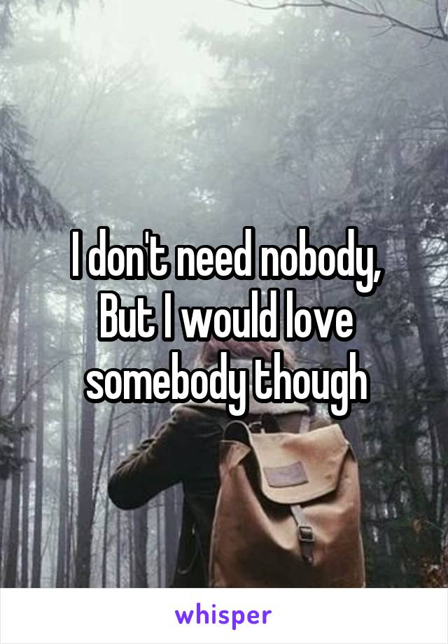 I don't need nobody,
But I would love somebody though