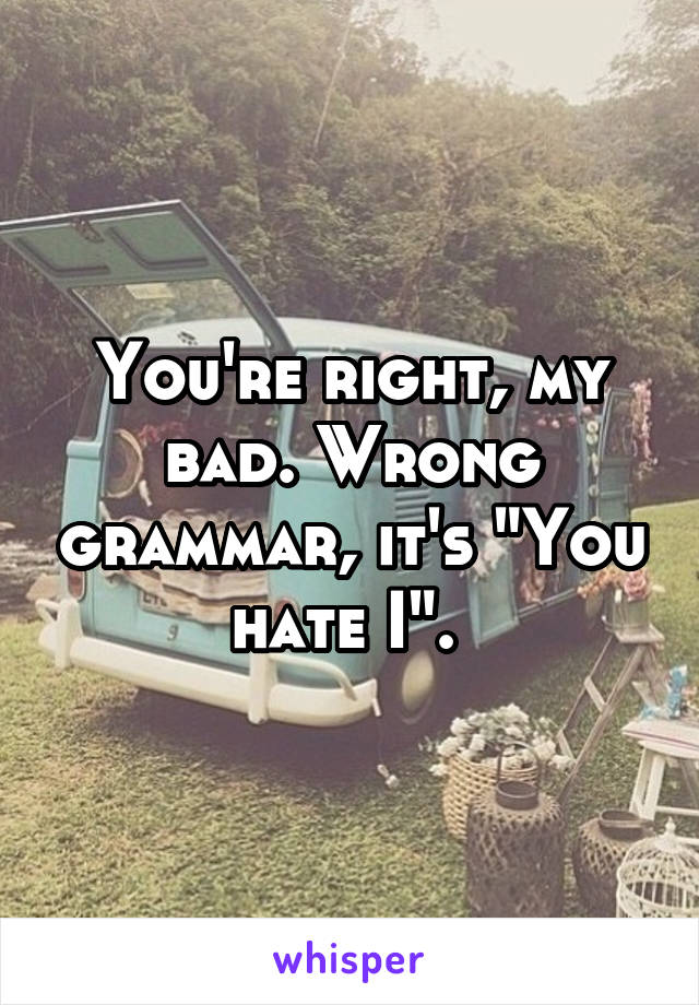 You're right, my bad. Wrong grammar, it's "You hate I". 