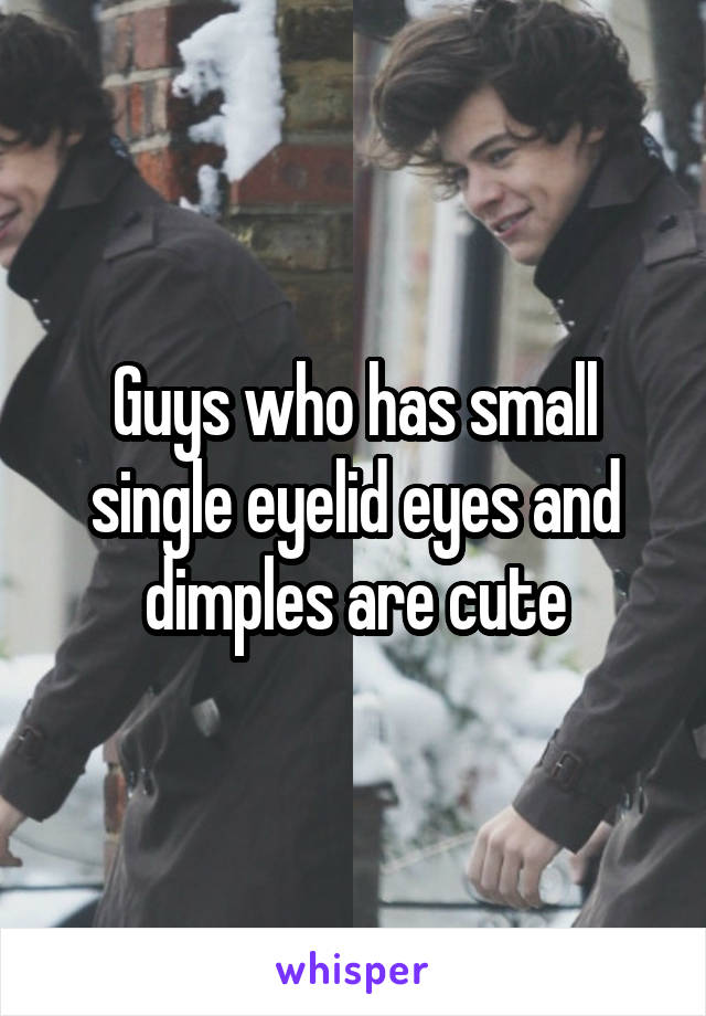 Guys who has small single eyelid eyes and dimples are cute