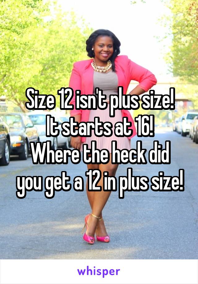 Size 12 isn't plus size!
It starts at 16!
Where the heck did you get a 12 in plus size!