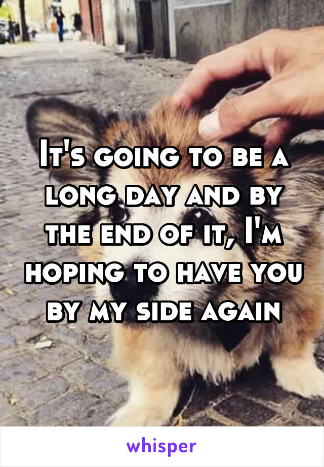 It's going to be a long day and by the end of it, I'm hoping to have you by my side again