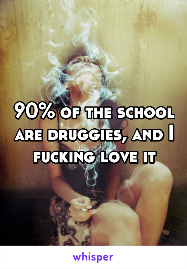 90% of the school are druggies, and I fucking love it