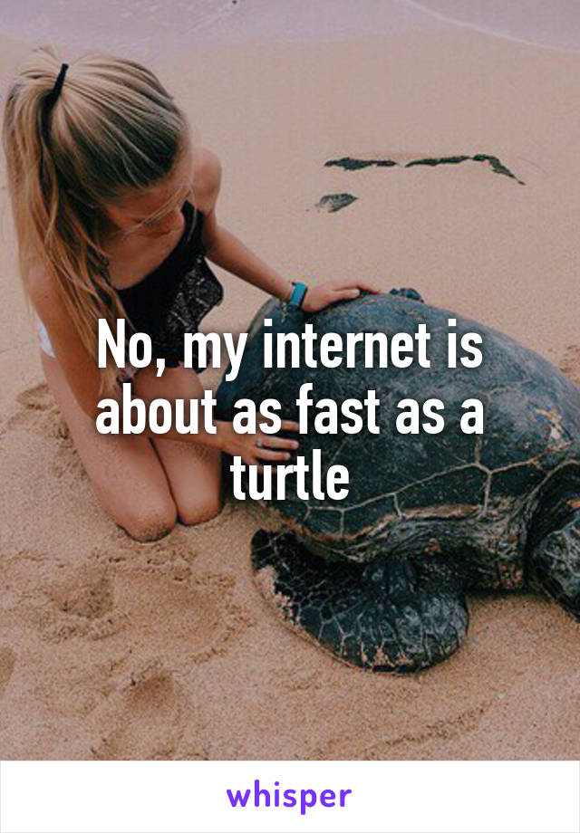 No, my internet is about as fast as a turtle