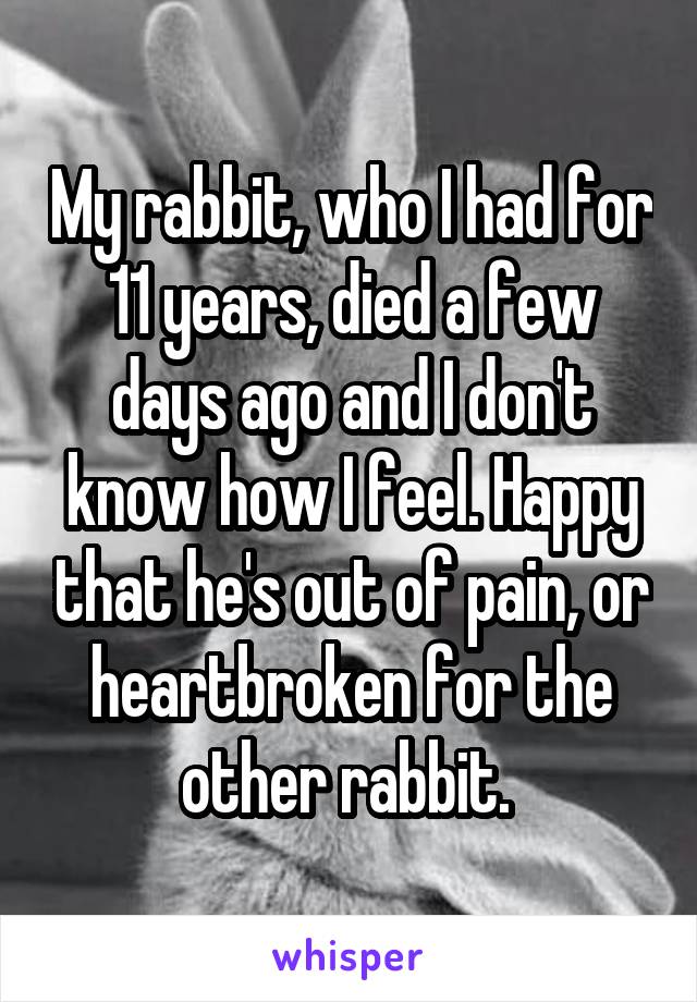 My rabbit, who I had for 11 years, died a few days ago and I don't know how I feel. Happy that he's out of pain, or heartbroken for the other rabbit. 