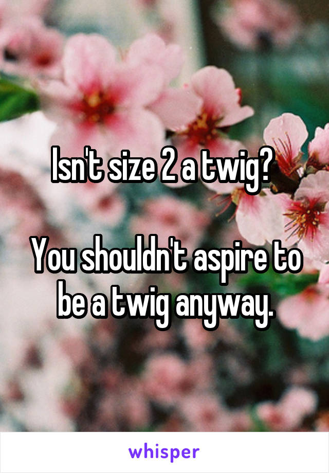 Isn't size 2 a twig? 

You shouldn't aspire to be a twig anyway.