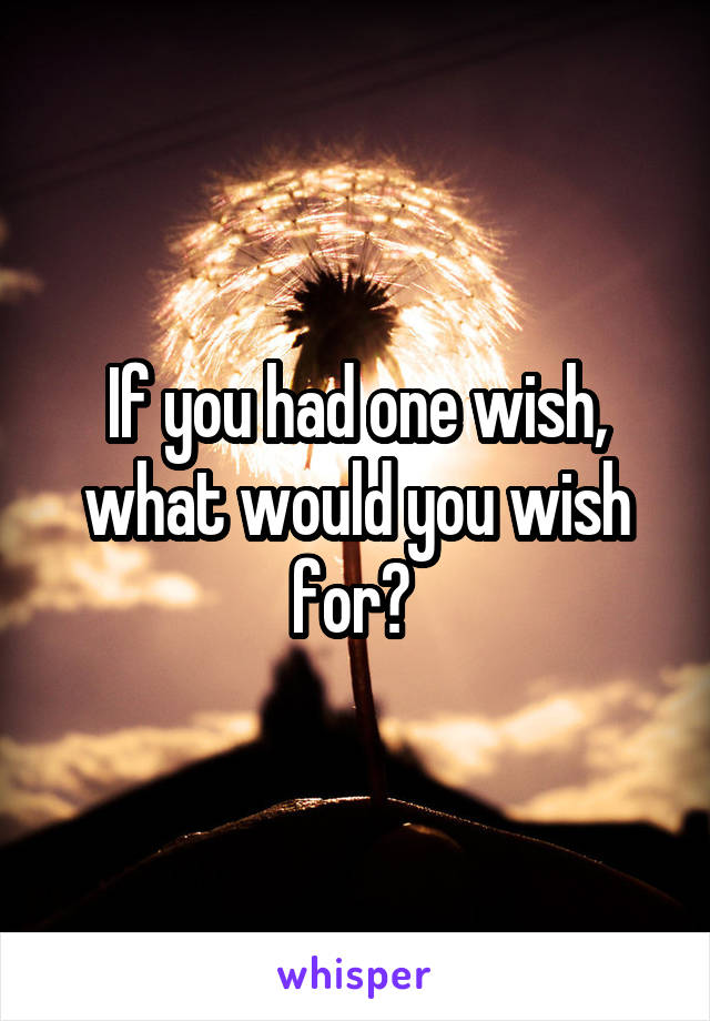 If you had one wish, what would you wish for? 