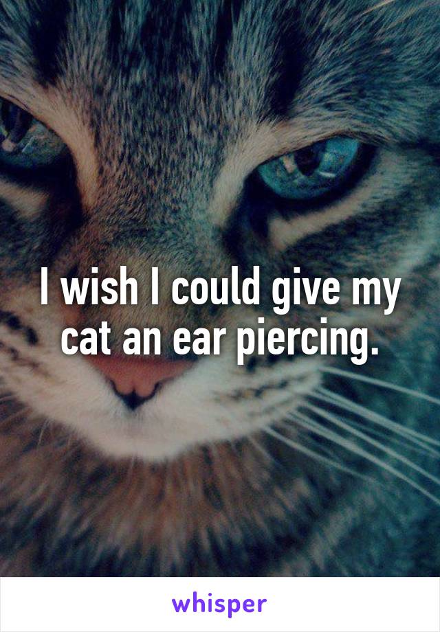 I wish I could give my cat an ear piercing.