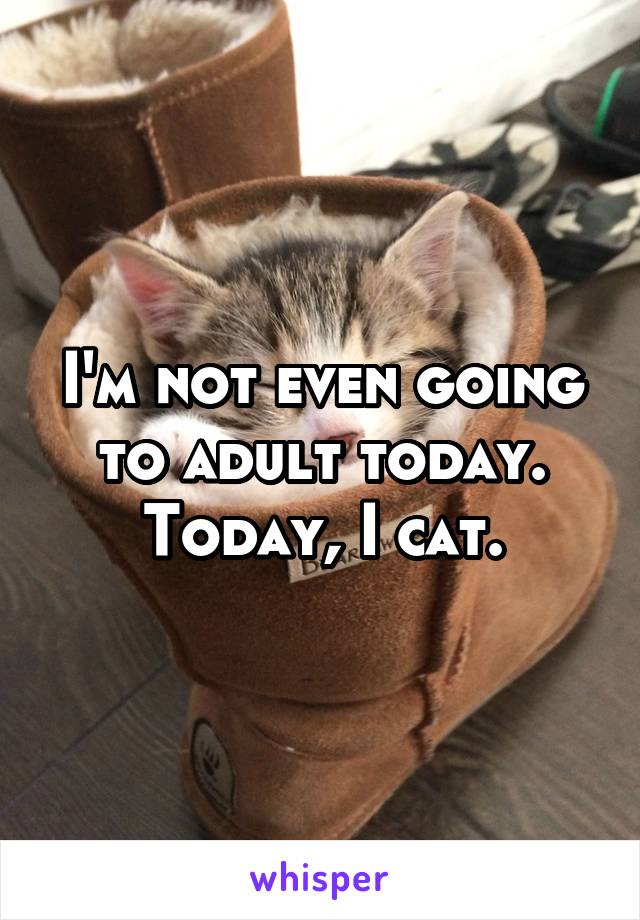 I'm not even going to adult today. Today, I cat.