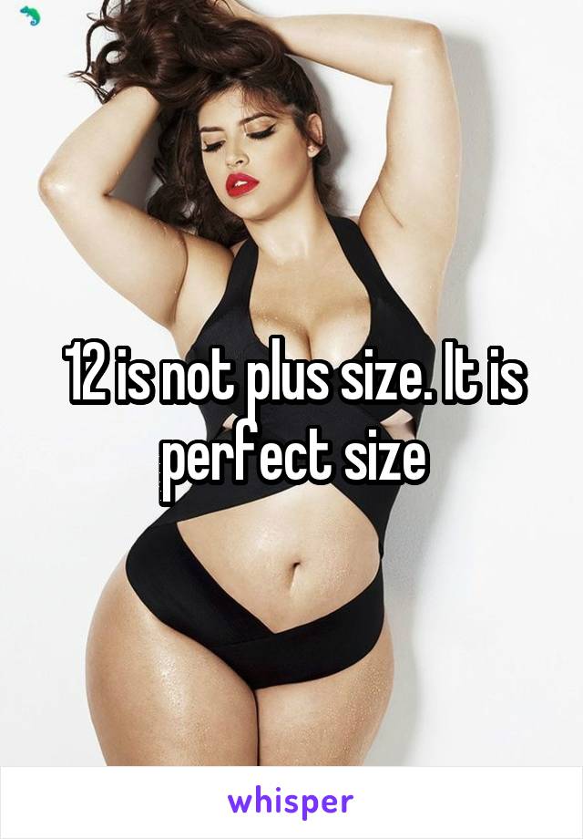 12 is not plus size. It is perfect size