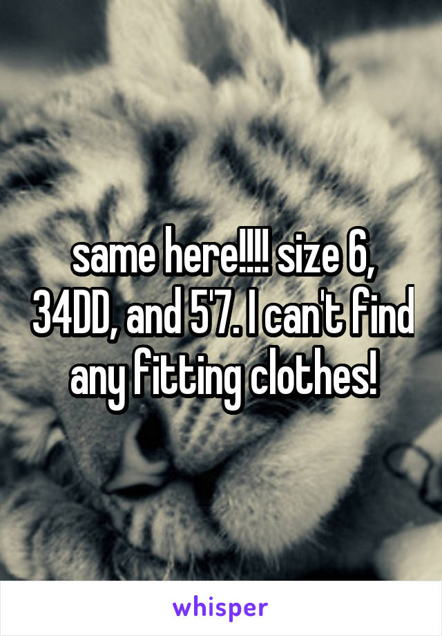 same here!!!! size 6, 34DD, and 5'7. I can't find any fitting clothes!