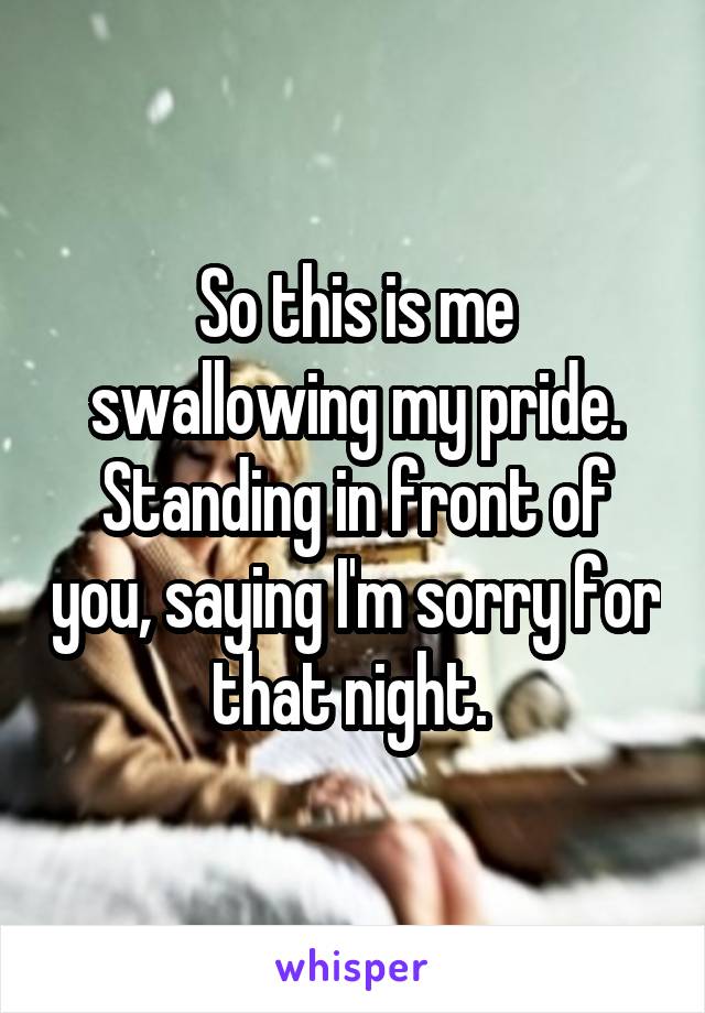 So this is me swallowing my pride. Standing in front of you, saying I'm sorry for that night. 