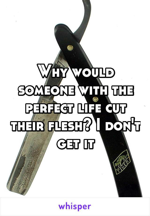 Why would someone with the perfect life cut their flesh? I don't get it