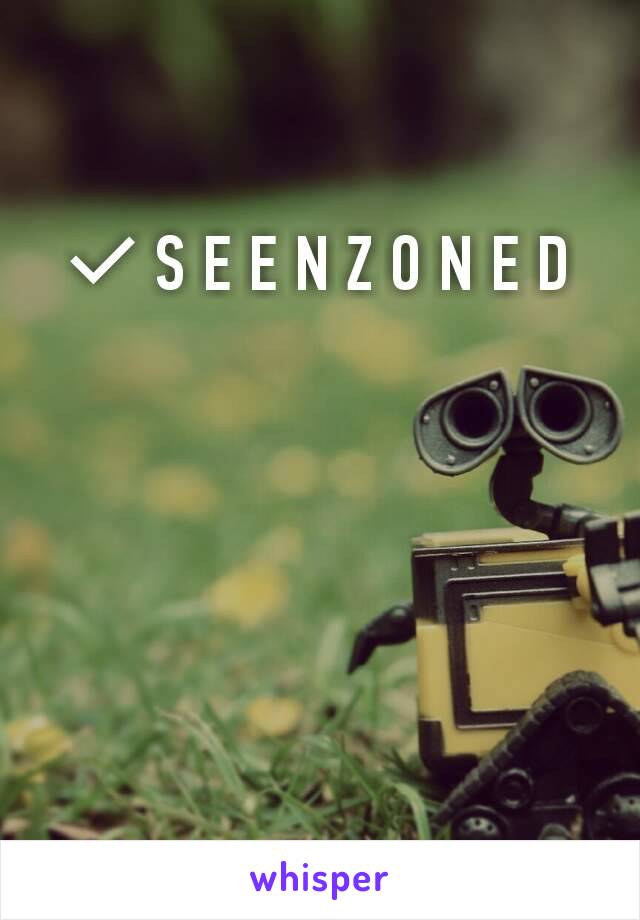 ✔S E E N Z O N E D 