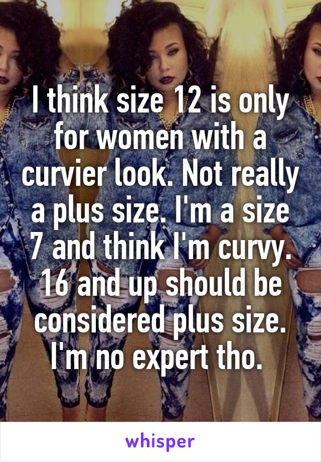 I think size 12 is only for women with a curvier look. Not really a plus size. I'm a size 7 and think I'm curvy. 16 and up should be considered plus size. I'm no expert tho. 