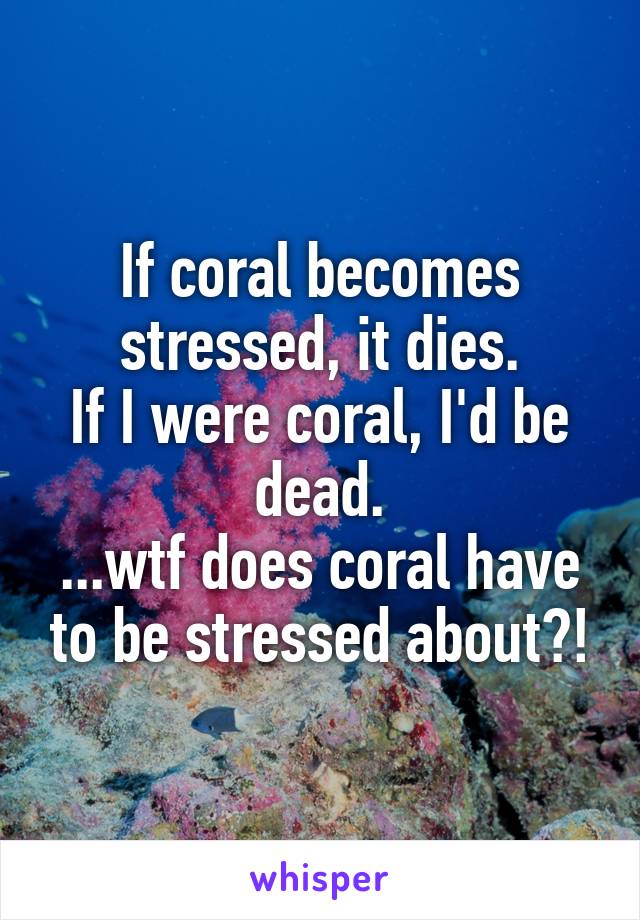 If coral becomes stressed, it dies.
If I were coral, I'd be dead.
...wtf does coral have to be stressed about?!