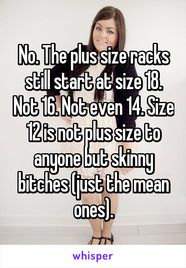 No. The plus size racks still start at size 18. Not 16. Not even 14. Size 12 is not plus size to anyone but skinny bitches (just the mean ones).