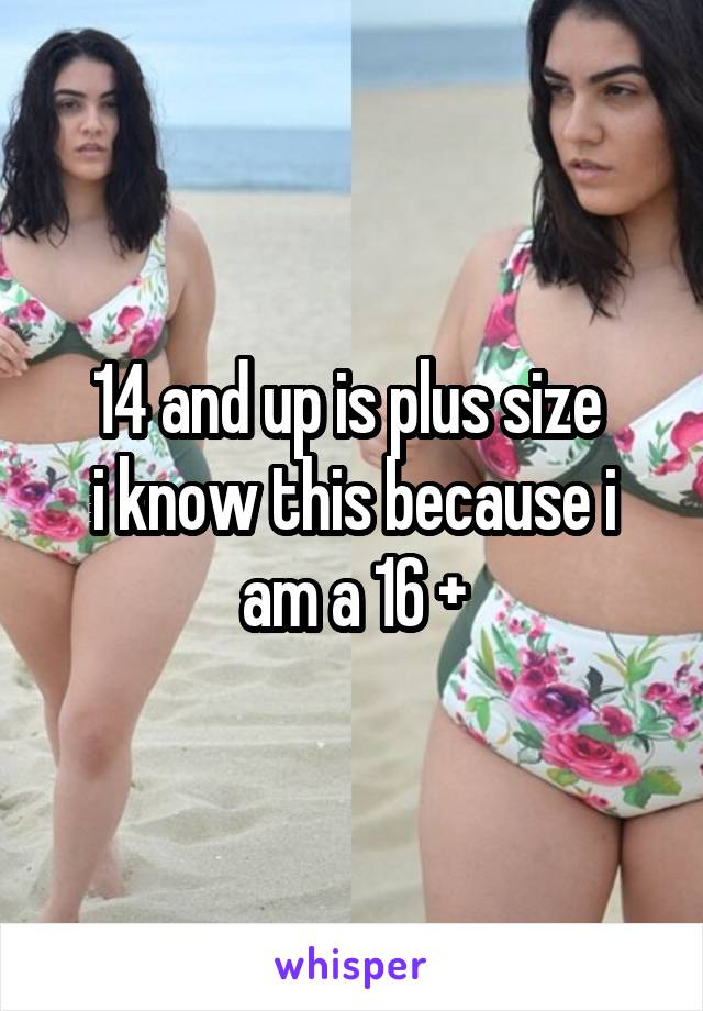 14 and up is plus size 
i know this because i am a 16 +