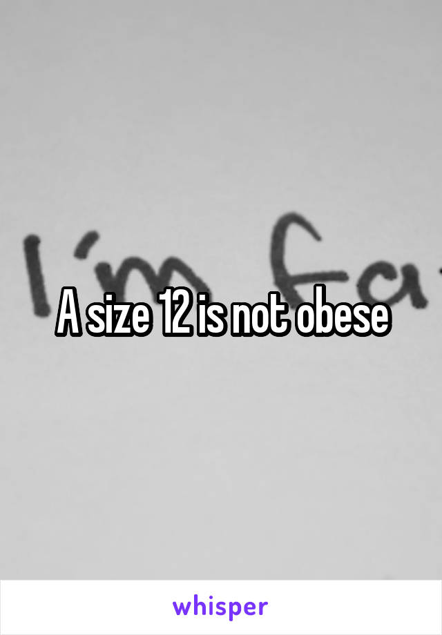 A size 12 is not obese