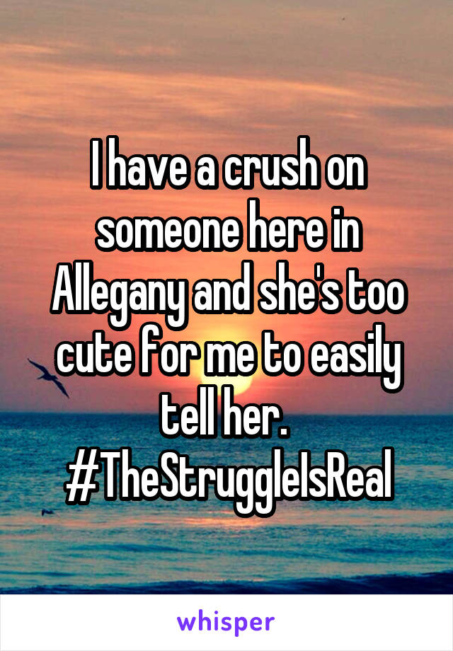 I have a crush on someone here in Allegany and she's too cute for me to easily tell her. 
#TheStruggleIsReal