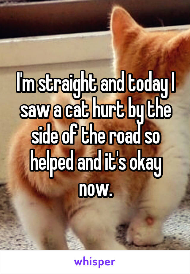 I'm straight and today I saw a cat hurt by the side of the road so helped and it's okay now.