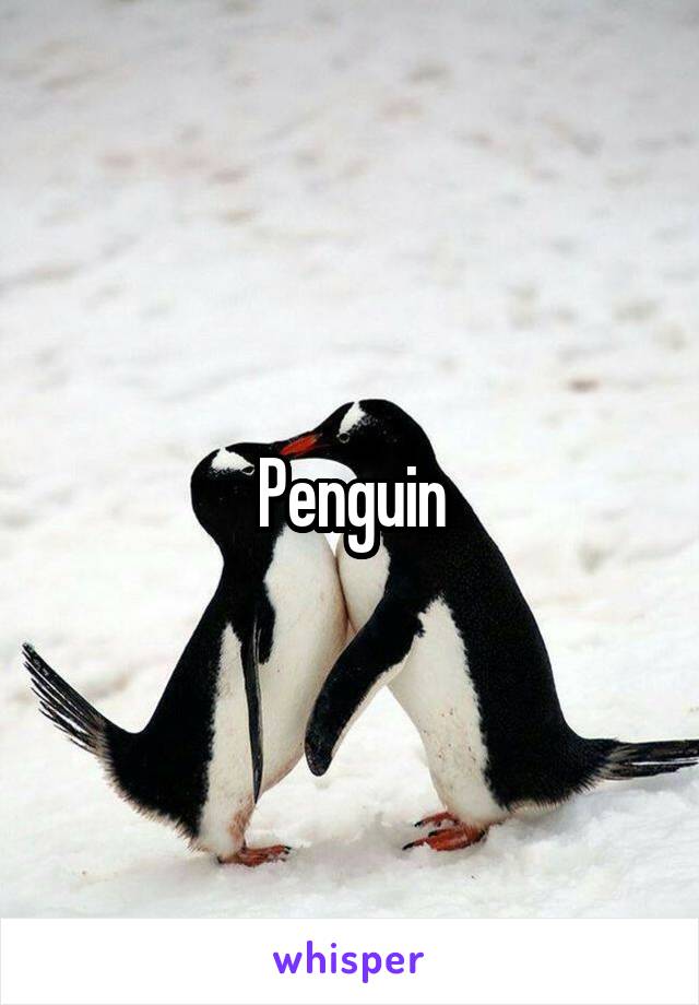 Penguin