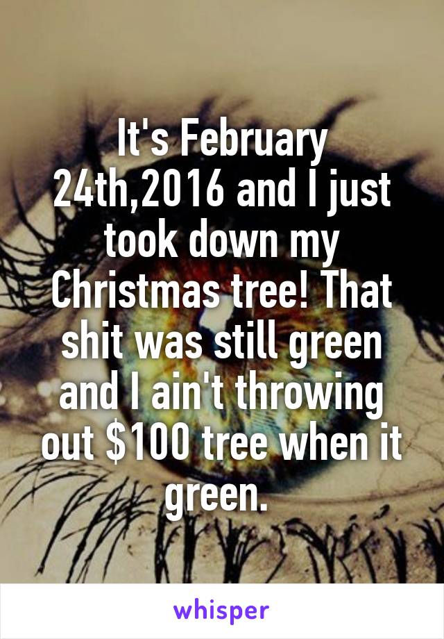 It's February 24th,2016 and I just took down my Christmas tree! That shit was still green and I ain't throwing out $100 tree when it green. 