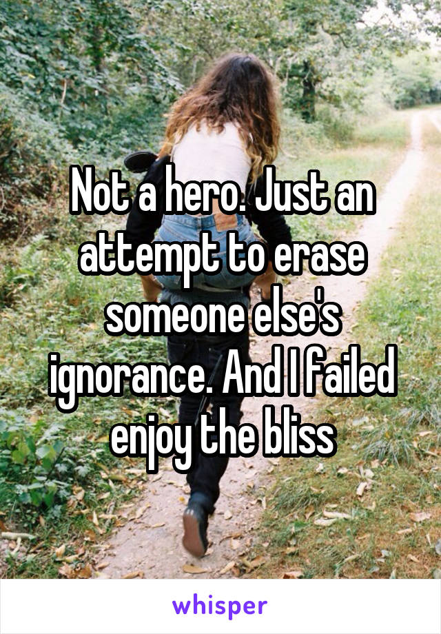 Not a hero. Just an attempt to erase someone else's ignorance. And I failed enjoy the bliss