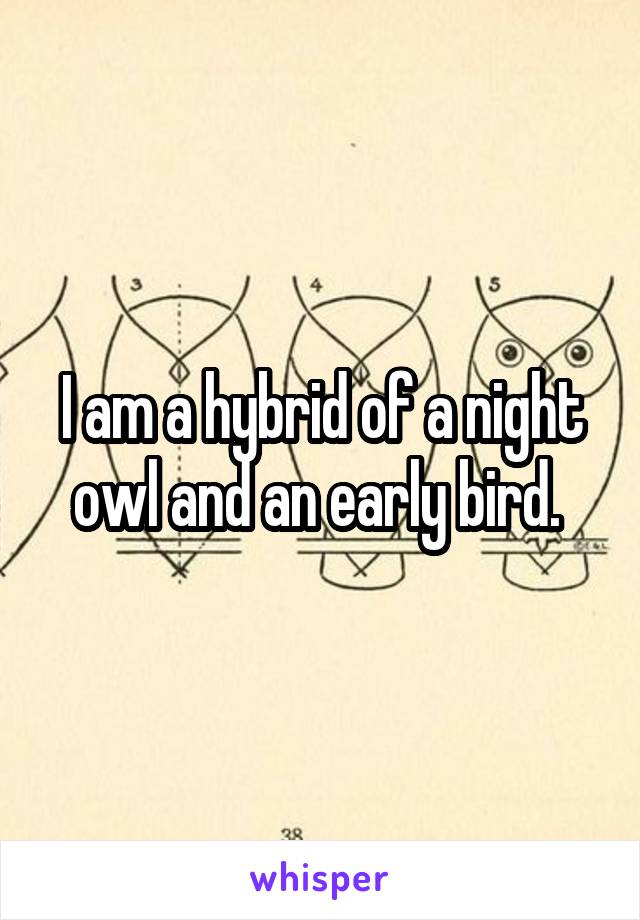 I am a hybrid of a night owl and an early bird. 