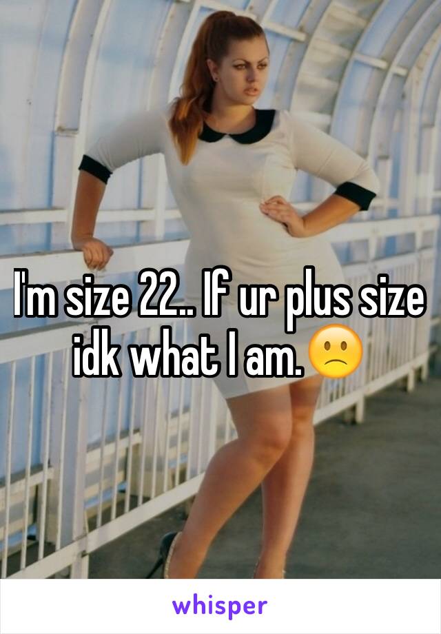 I'm size 22.. If ur plus size idk what I am.🙁