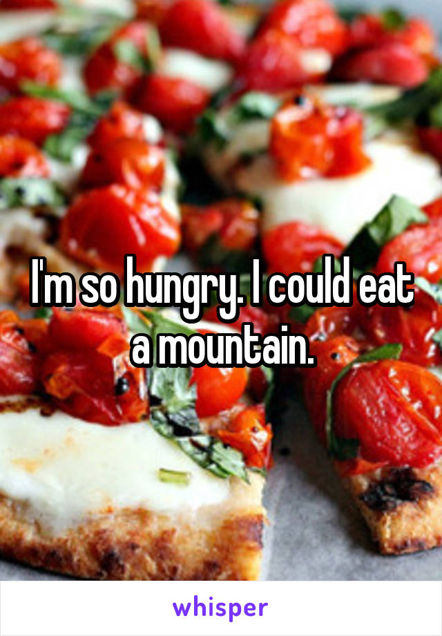 I'm so hungry. I could eat a mountain.