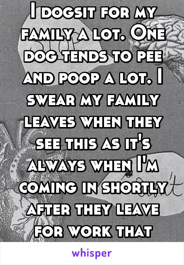 I dogsit for my family a lot. One dog tends to pee and poop a lot. I swear my family leaves when they see this as it's always when I'm coming in shortly after they leave for work that there's a mess. 