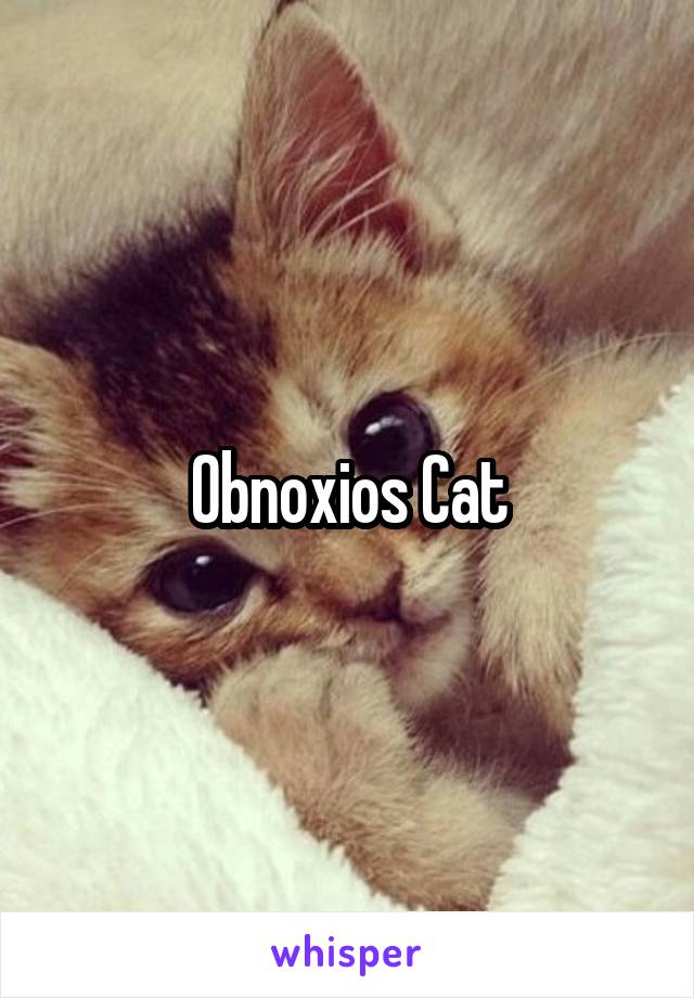 Obnoxios Cat