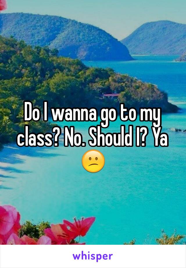 Do I wanna go to my class? No. Should I? Ya 😕