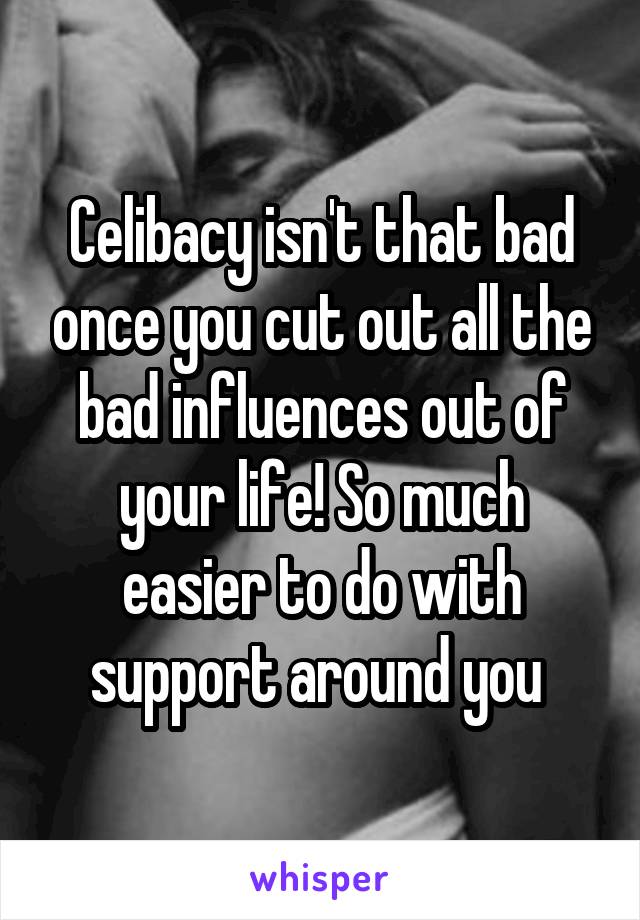 Celibacy isn't that bad once you cut out all the bad influences out of your life! So much easier to do with support around you 