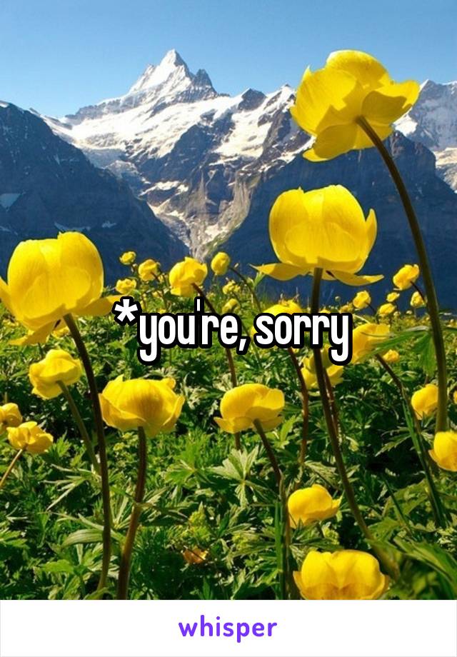 *you're, sorry