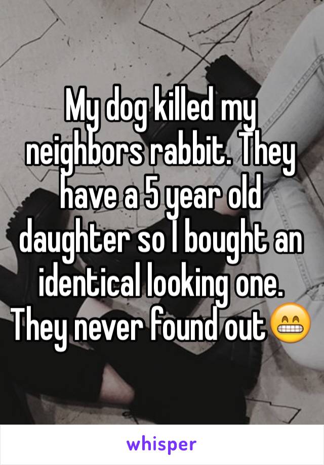 My dog killed my neighbors rabbit. They have a 5 year old daughter so I bought an identical looking one. They never found out😁