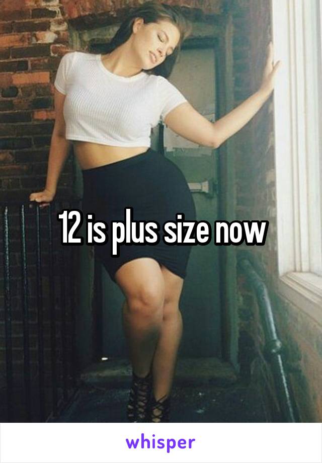 12 is plus size now