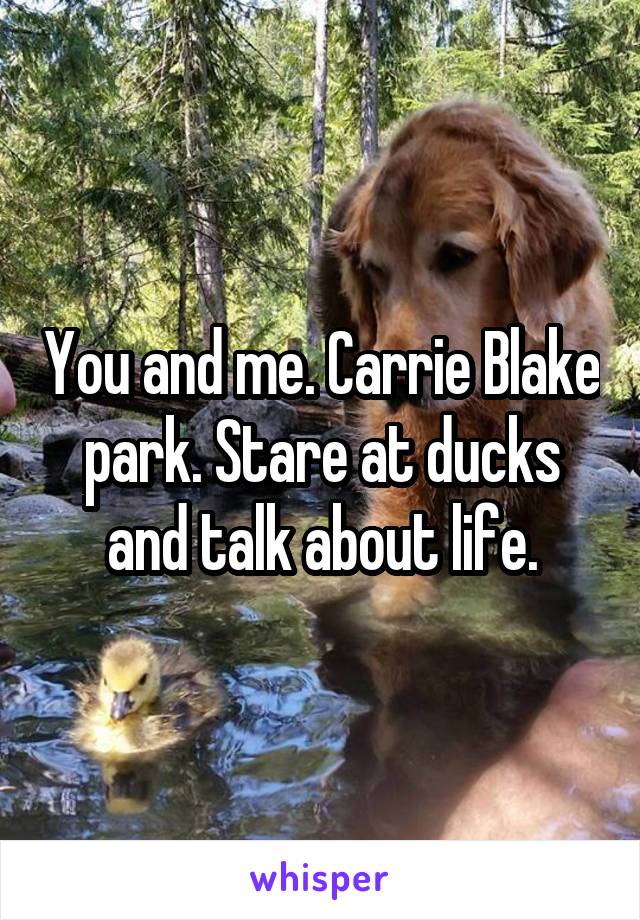 You and me. Carrie Blake park. Stare at ducks and talk about life.