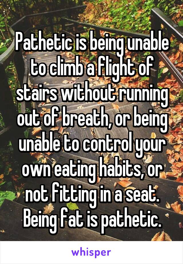 Pathetic is being unable to climb a flight of stairs without running out of breath, or being unable to control your own eating habits, or not fitting in a seat.
Being fat is pathetic.