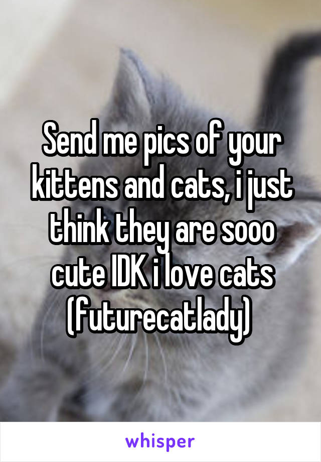 Send me pics of your kittens and cats, i just think they are sooo cute IDK i love cats (futurecatlady) 