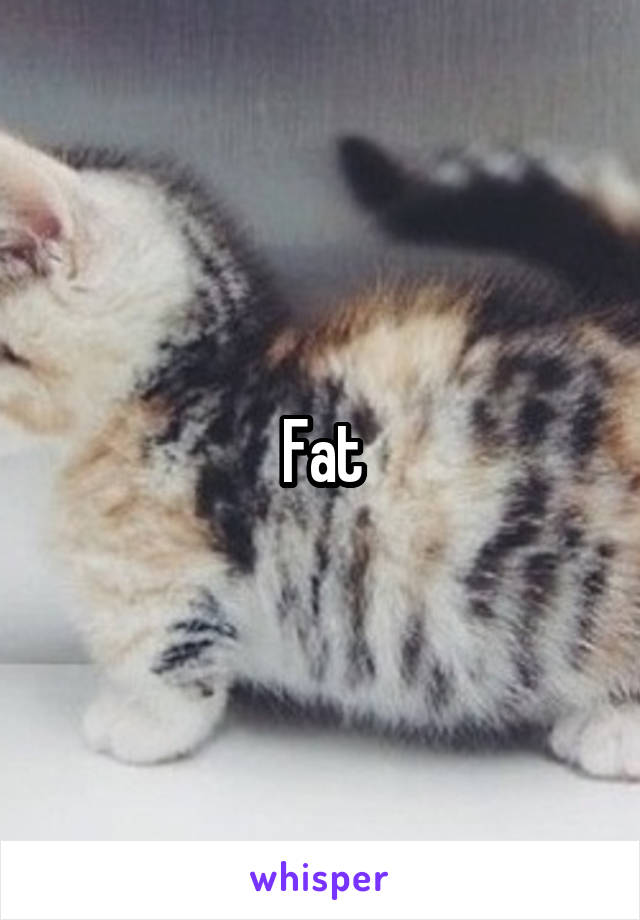 Fat