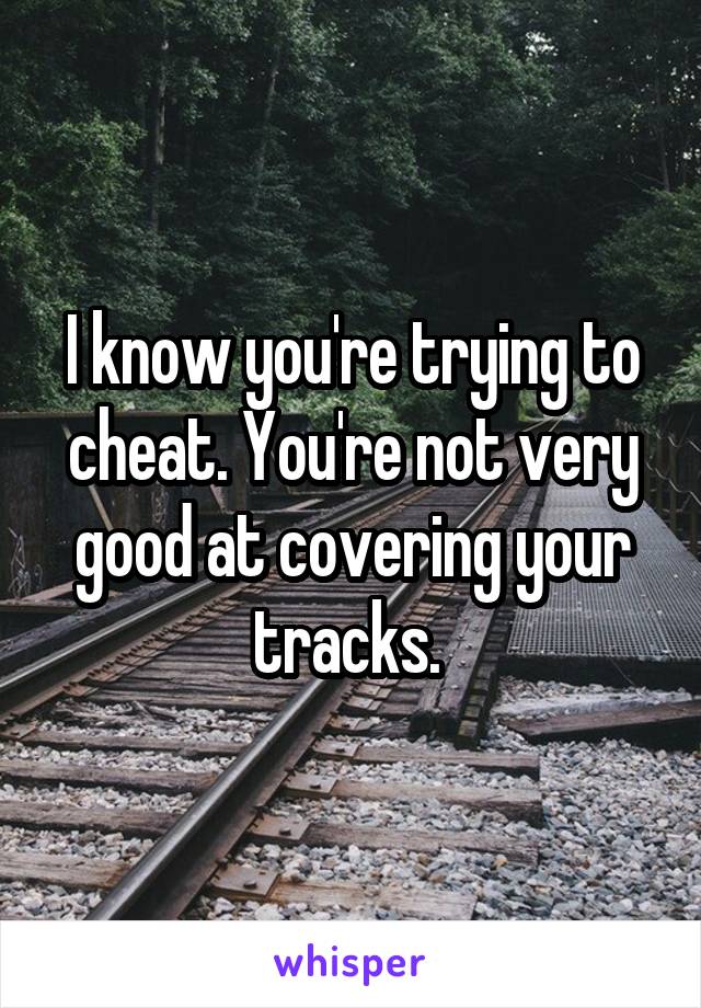 I know you're trying to cheat. You're not very good at covering your tracks. 