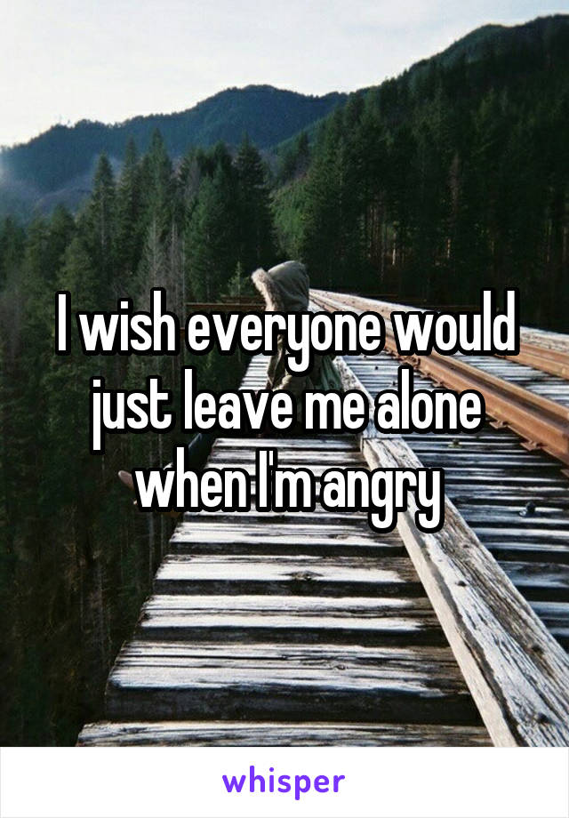 I wish everyone would just leave me alone when I'm angry