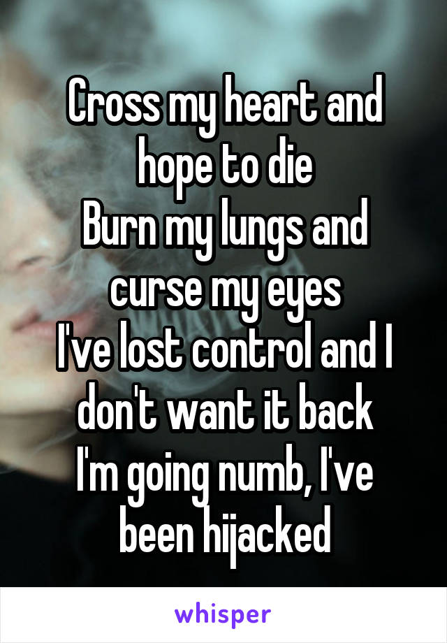 Cross my heart and hope to die
Burn my lungs and curse my eyes
I've lost control and I don't want it back
I'm going numb, I've been hijacked