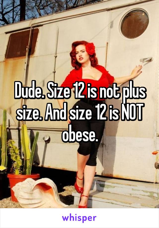 Dude. Size 12 is not plus size. And size 12 is NOT obese.